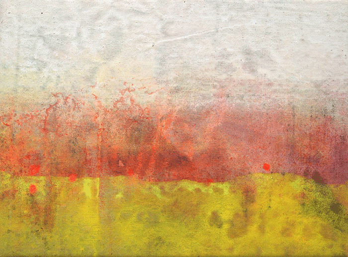 WRG 42x31 cm